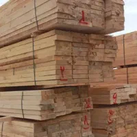 پخش تخته بنایی   تخته زیرپایی  روسی