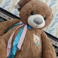 عروسک تدی|اسباب‌‌بازی|تاکستان, |دیوار