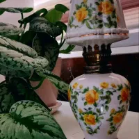 ظروف کلکسیونی زیبا وخاص
