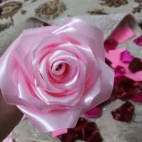 گل رز روبانی