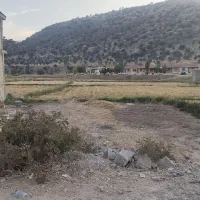 شخصی