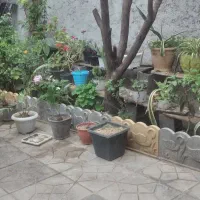 خانه حیاط دار|فروش خانه و ویلا|ارطه, |دیوار