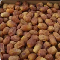 قصب درجه یک130