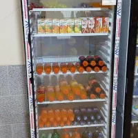 یخچال مغازه