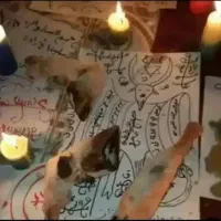 دعا نویس تضمینی