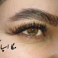 اکستنشن مژه 199 t|خدمات آرایشگری و زیبایی|مشهد, انقلاب|دیوار