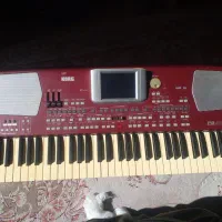 korG|پیانو، کیبورد، آکاردئون|بندرعباس, |دیوار