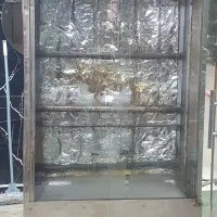 فربریانی مرغ  در حد نو