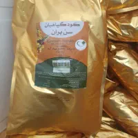 کشاورز کود پر کردن دانه پسته