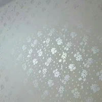 رنگ آمیزی منازل مسکونی سبکهای جدید|خدمات پیشه و مهارت|رامشیر, |دیوار