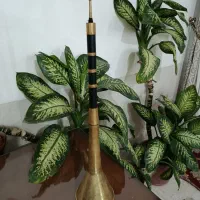 کرنا شصت وسط شیرازی