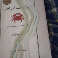 ۲عدد تسبیح شب نما