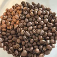 پخش ویژه