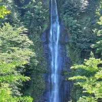 تور یکونیم روزه این هفته ساحل و آبشار لوشکی شمال