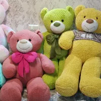 خرس|اسباب‌‌بازی|اردبیل, |دیوار