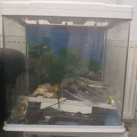 آکواریوم شیشه خم شرکتی