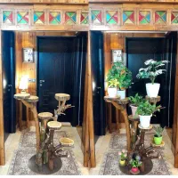 استند گل تنه درختی|گل و گیاه طبیعی|قم, باجک دو|دیوار