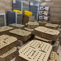 جوجه یکروزه اردک ومرغ در فروشگاه اردک فارم