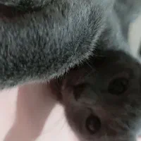 بچه 2ماهه