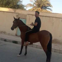 باشگاه اسب در بوزی