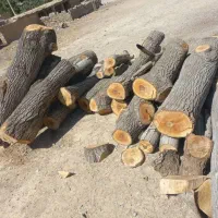 خرید چوب|خدمات باغبانی و درختکاری|یاسوج, |دیوار