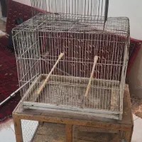 قفس و توری مرغی|لوازم جانبی حیوانات|تهران, شهرک شهید رجایی (کوی نوبنیاد)|دیوار