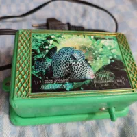 وسایل آکواریوم و ماهی کالر ارزان|ماهی|اردبیل, |دیوار