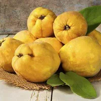 میوه به|خوردنی و آشامیدنی|اصفهان, سودان|دیوار