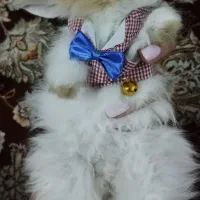 خرگوش با همه ی وسایل