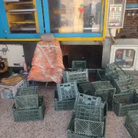 نیرویه کار برایه بسته بندی سبد