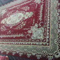 قالی 12متری|فرش|سنندج, |دیوار
