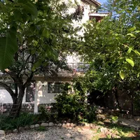 ویلا یک خوابه سرسبز|اجارهٔ کوتاهمدت ویلا و باغ|کلاردشت, |دیوار