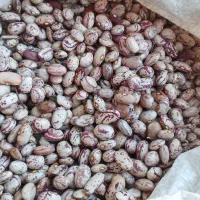 لوبیا چیتی خوش پخت|خوردنی و آشامیدنی|ویلکیج, |دیوار