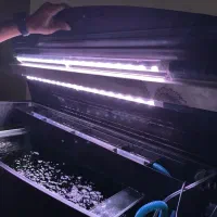 اکواریوم L1000دلسا|ماهی|بندرعباس, |دیوار