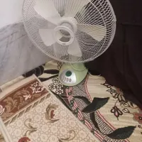 ۲عدد پنکه رومیزی تکنو و تولیپس کره|پنکه و تصفیه‌کنندهٔ هوا|گلستان (تهران), |دیوار