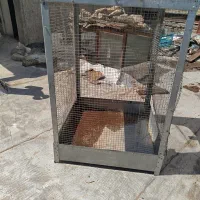 قفس بزرگ و جادار جنس خوب