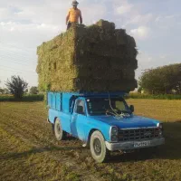 یونجه|عمده‌فروشی|فامنین, |دیوار