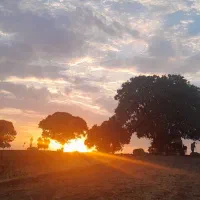 اجاره خانه و ویلا باغ