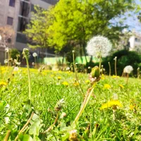 فروش زمین با کاربری تجاری مسکونی طرقبه