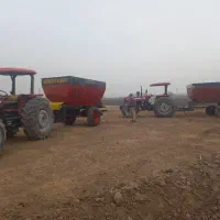 کودپاشی دامی