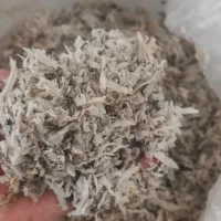 تفاله چغندر|لوازم جانبی حیوانات|مرودشت, بیست متری بیمارستان|دیوار