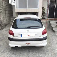 ۲۰۶فرانسوی درحد