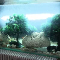 آکواریوم ماهی|ماهی|اصفهان, ارغوانیه|دیوار