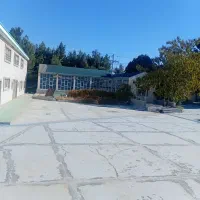 گلخانه پیشرفته|فروش دفتر صنعتی، کشاورزی، تجاری|فریمان, |دیوار