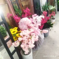 گرین وال شکوفه چمن انواع آیینه های پایه دار|گل مصنوعی|کرمان, |دیوار