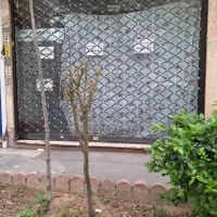مغازه