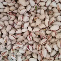 پسته خشک آجیلی|عمدهفروشی|سروستان, |دیوار