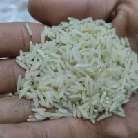 برنج گشت دوم