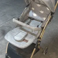 کالسکه  دلیجان|کالسکه و لوازم جانبی|تهران, آسمان|دیوار