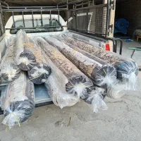 قالیشویی حریر اهواز انواع قالی،پتو ومبل قیمت مناسب|خدمات نظافت|اهواز, فاز ۲ پادادشهر|دیوار